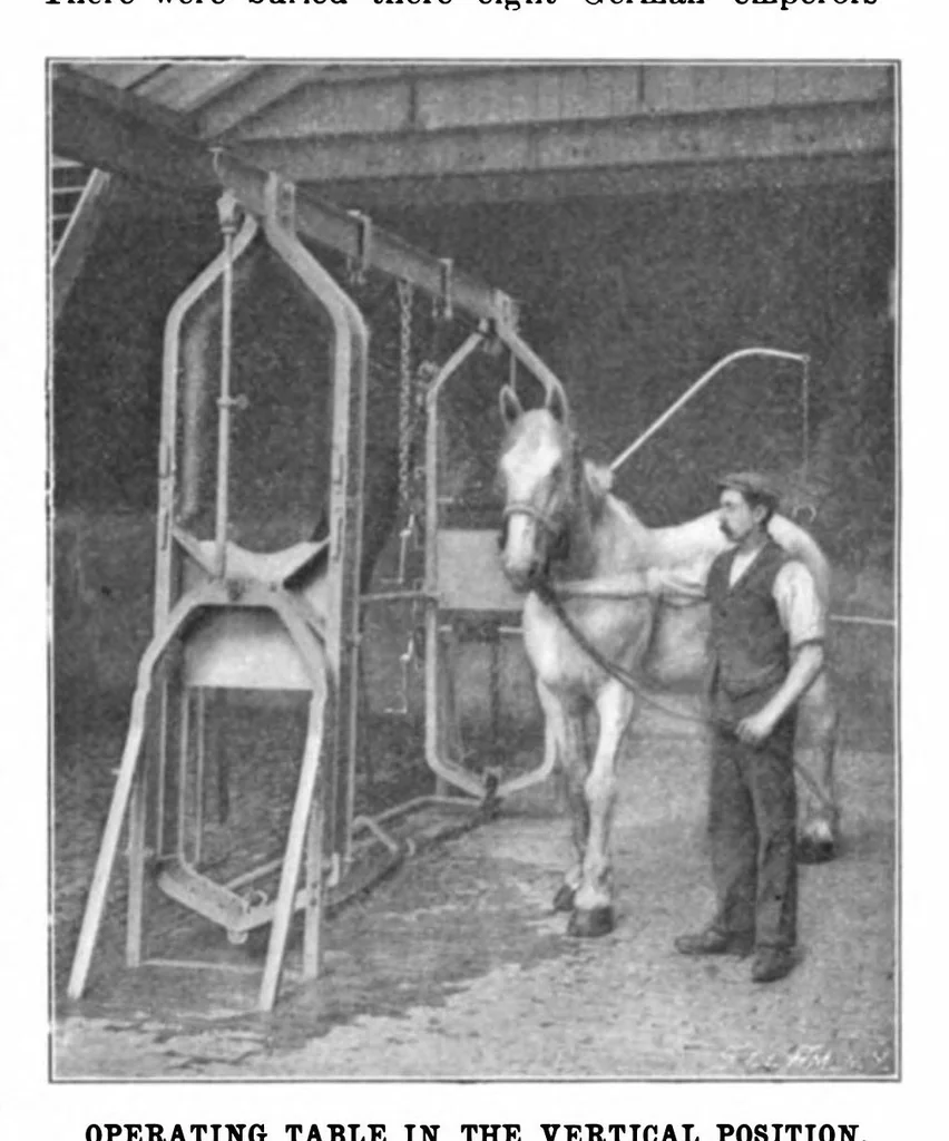 An illustration from Scientific American, Vol. 83, No. 18 (1900), 1900, leaf 3