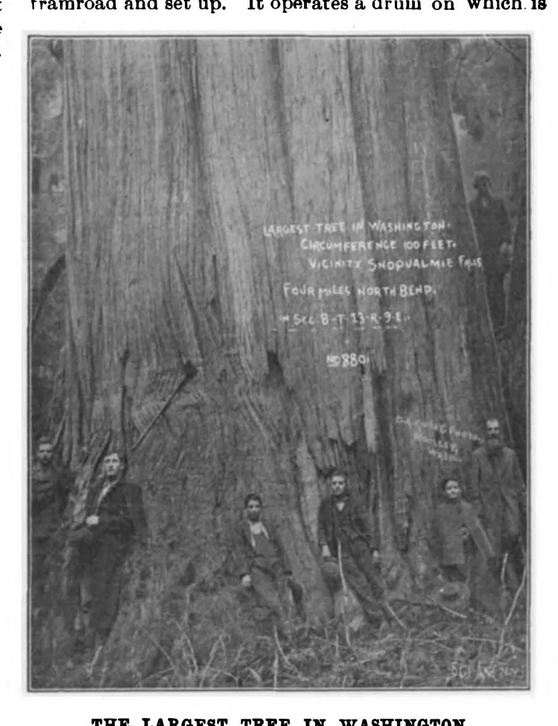 An illustration from Scientific American, Vol. 83, No. 26 (1900), 1900, leaf 8