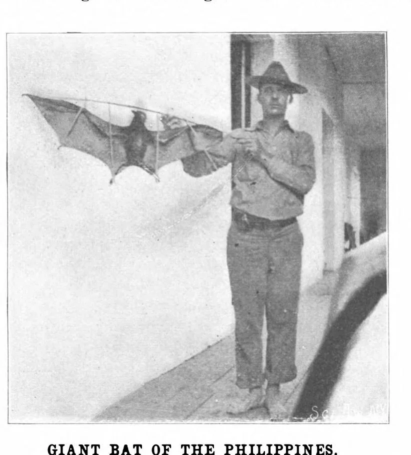 An illustration from Scientific American, Vol. 84, No. 3 (January 19, 1901), 1901, leaf 2