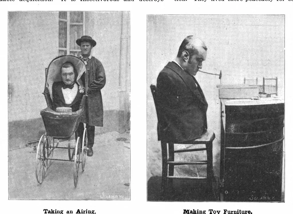 An illustration from Scientific American, Vol. 84, No. 7 (February 16, 1901), 1901, leaf 8