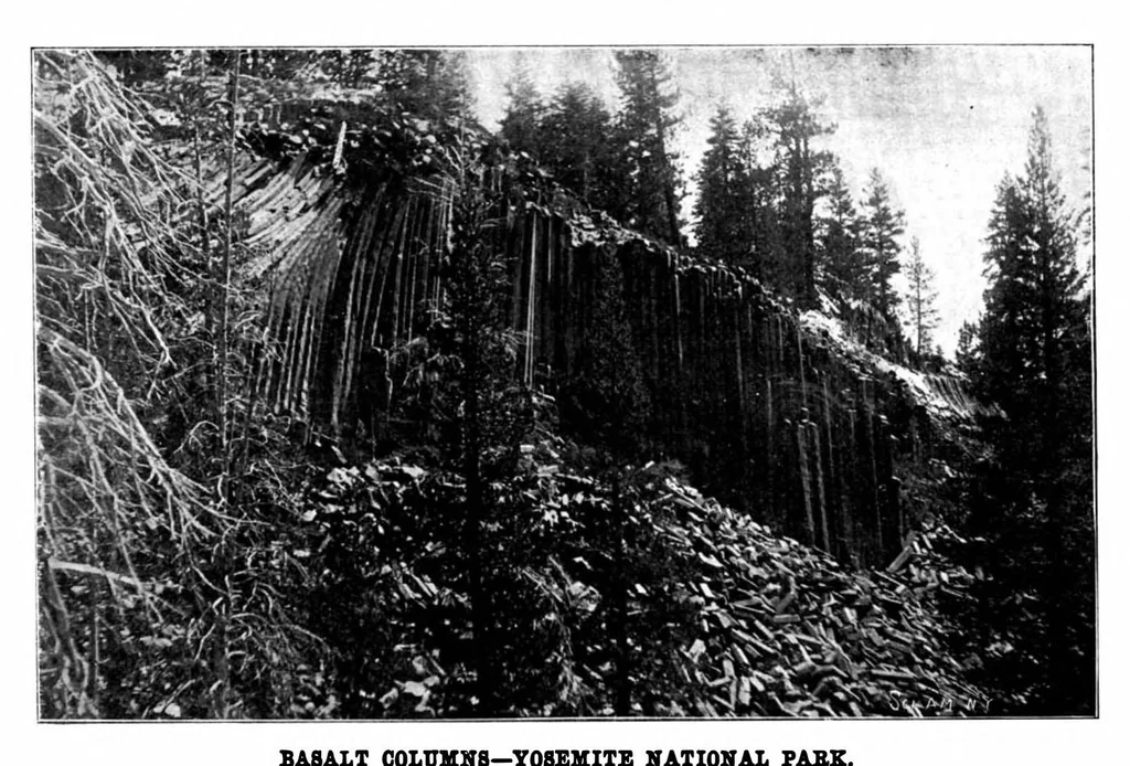 An illustration from Scientific American, Vol. 84, No. 5 (1901), 1901, leaf 3