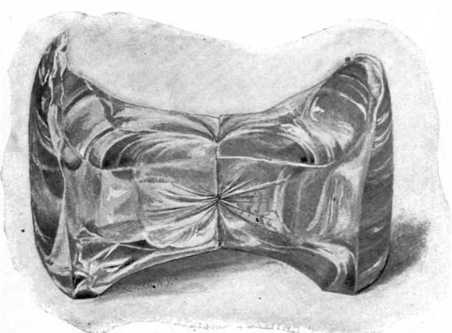 An illustration from Scientific American, Vol. 84, No. 6 (1901), 1901, leaf 3