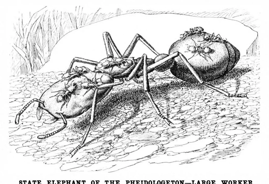 An illustration from Scientific American, Vol. 84, No. 17 (1901), 1901, leaf 8