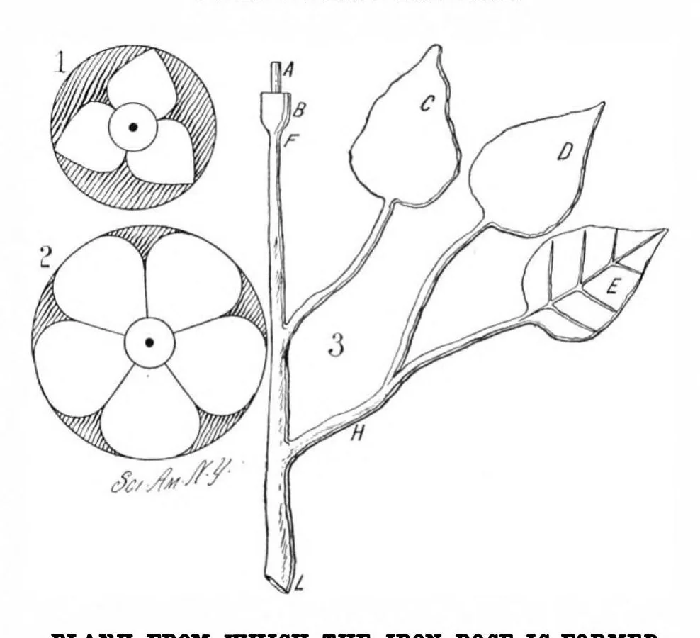 An illustration from Scientific American, Vol. 84, No. 19 (1901), 1901, leaf 7