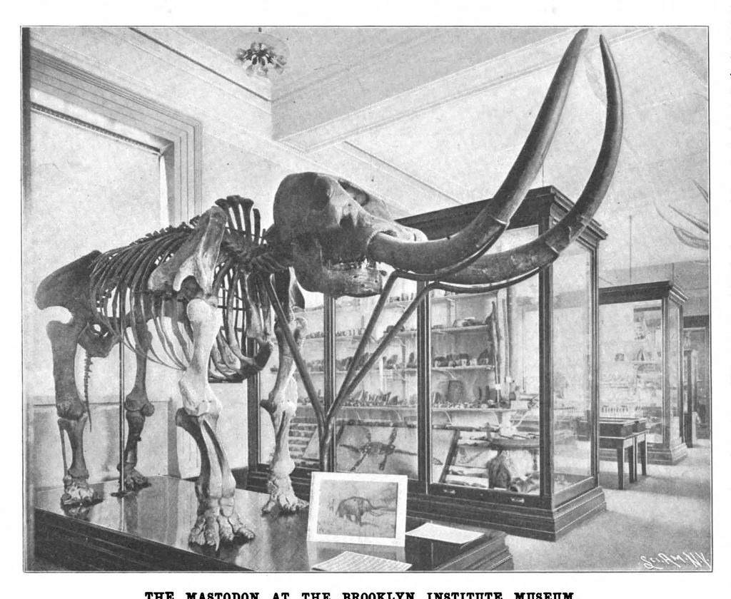 An illustration from Scientific American, Vol. 84, No. 20 (1901), 1901, leaf 7