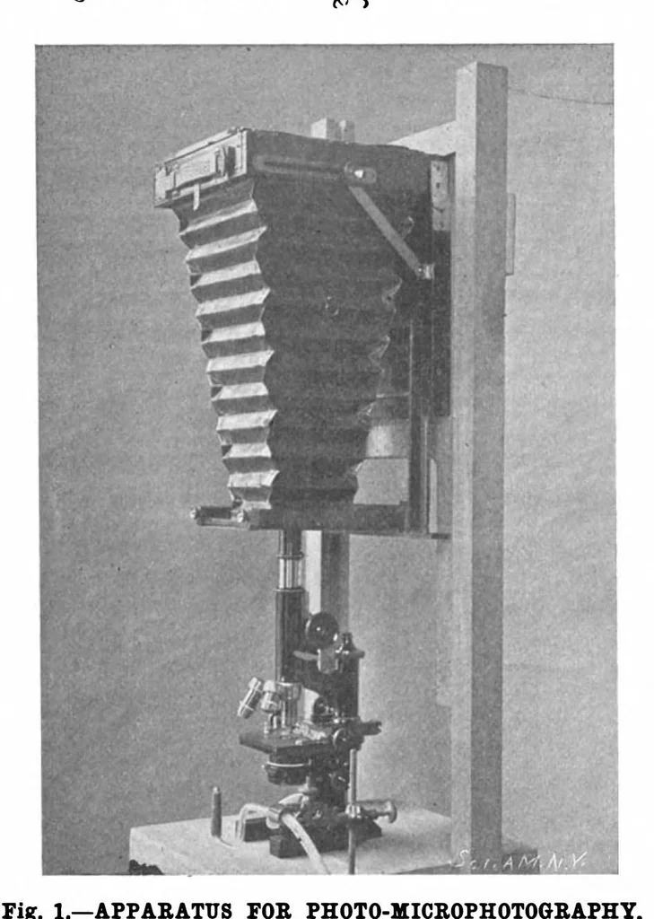 An illustration from Scientific American, Vol. 84, No. 21 (1901), 1901, leaf 8
