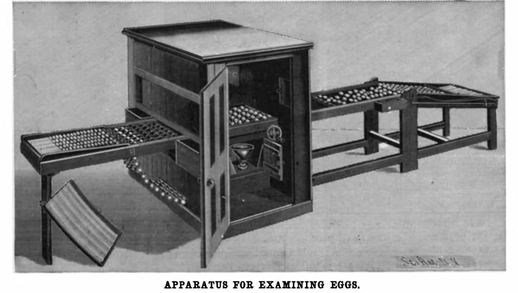 An illustration from Scientific American, Vol. 85, No. 6 (1901), 1901, leaf 7