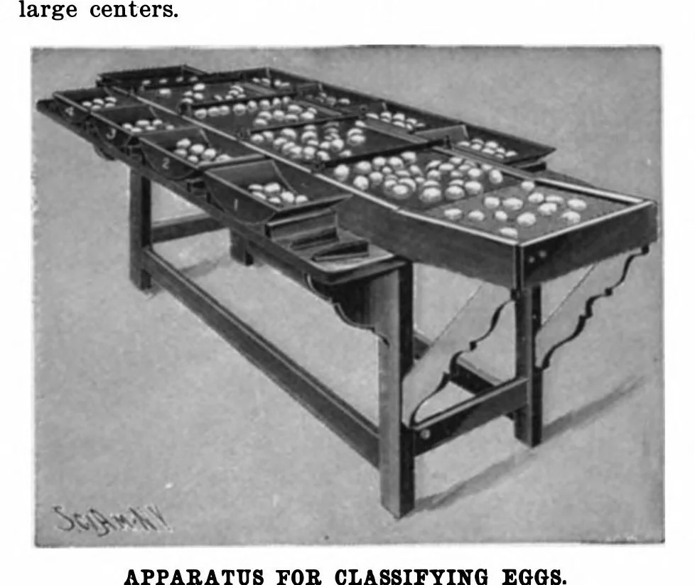 An illustration from Scientific American, Vol. 85, No. 6 (1901), 1901, leaf 7