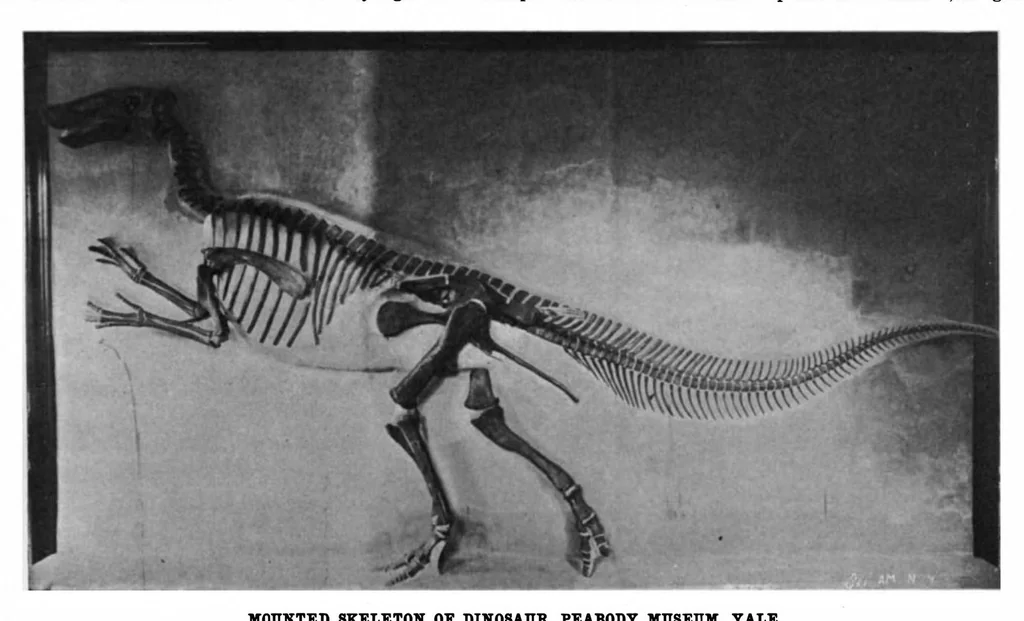 An illustration from Scientific American, Vol. 85, No. 7 (1901), 1901, leaf 8