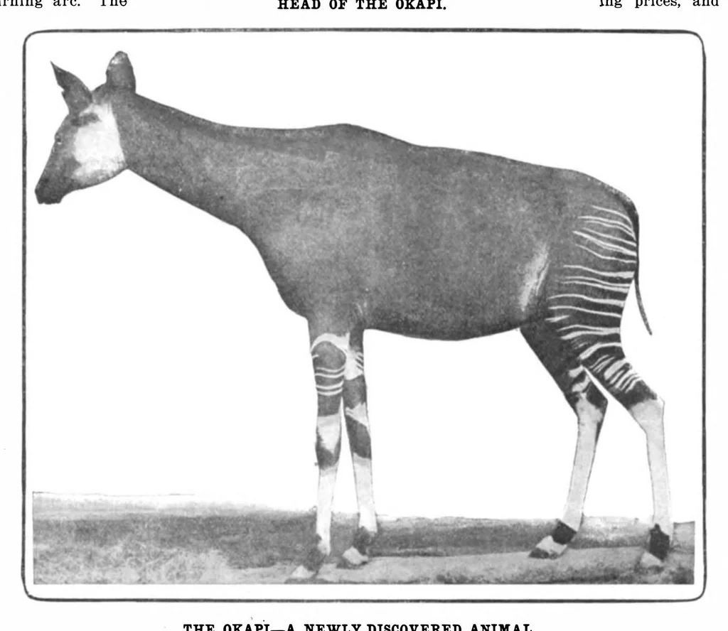 An illustration from Scientific American, Vol. 85, No. 16 (1901), 1901, leaf 9