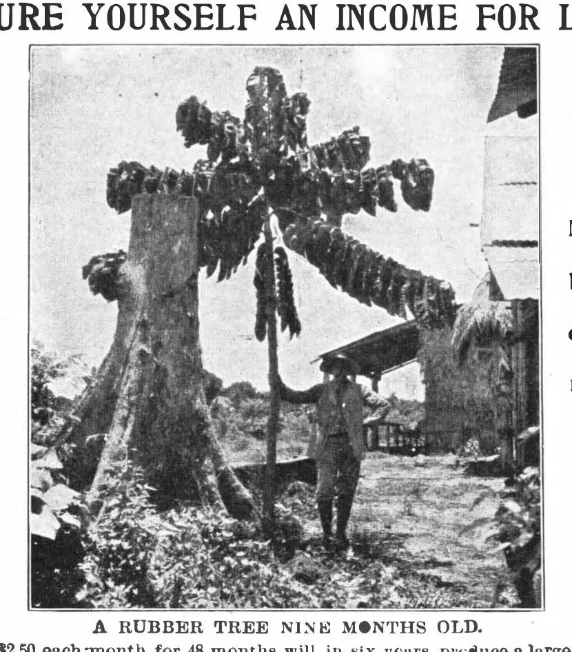 An illustration from Scientific American, Vol. 85, No. 21 (1901), 1901, leaf 15
