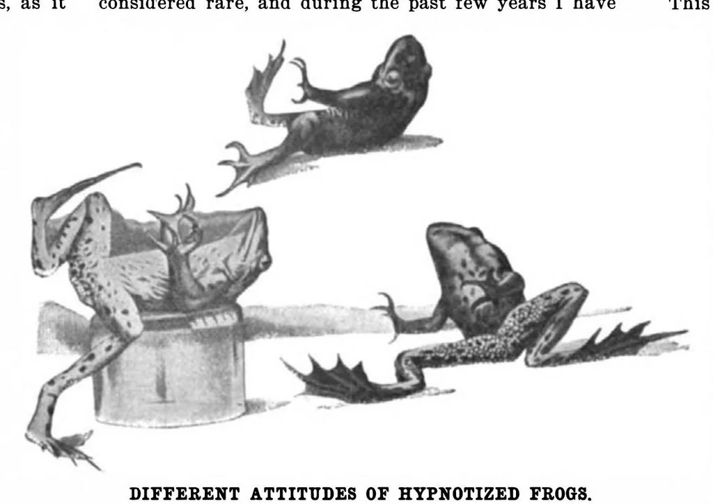 An illustration from Scientific American, Vol. 85, No. 25 (1901), 1901, leaf 10