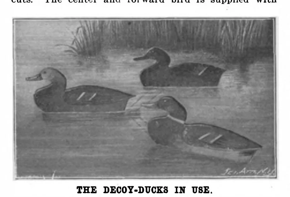 An illustration from Scientific American, Vol. 85, No. 26 (1901), 1901, leaf 10