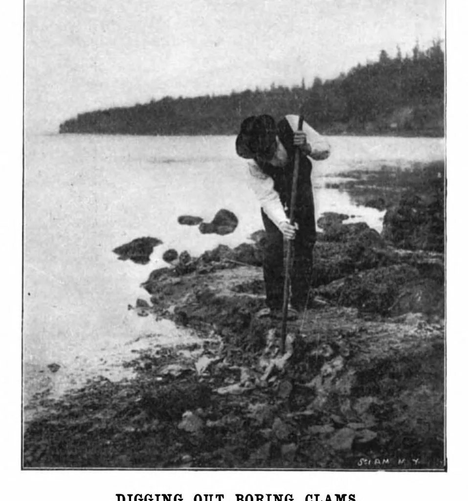An illustration from Scientific American, Vol. 87, No. 11 (1902), 1902, leaf 10