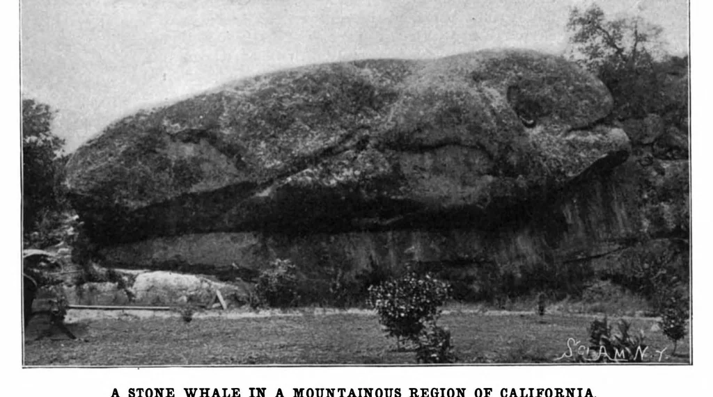 An illustration from Scientific American, Vol. 87, No. 22 (1902), 1902, leaf 7