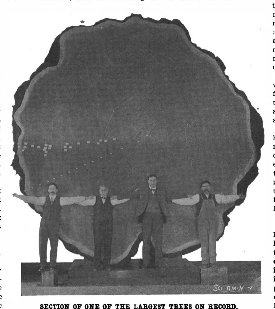 An illustration from Scientific American, Vol. 88, No. 2 (1903), 1903, leaf 10