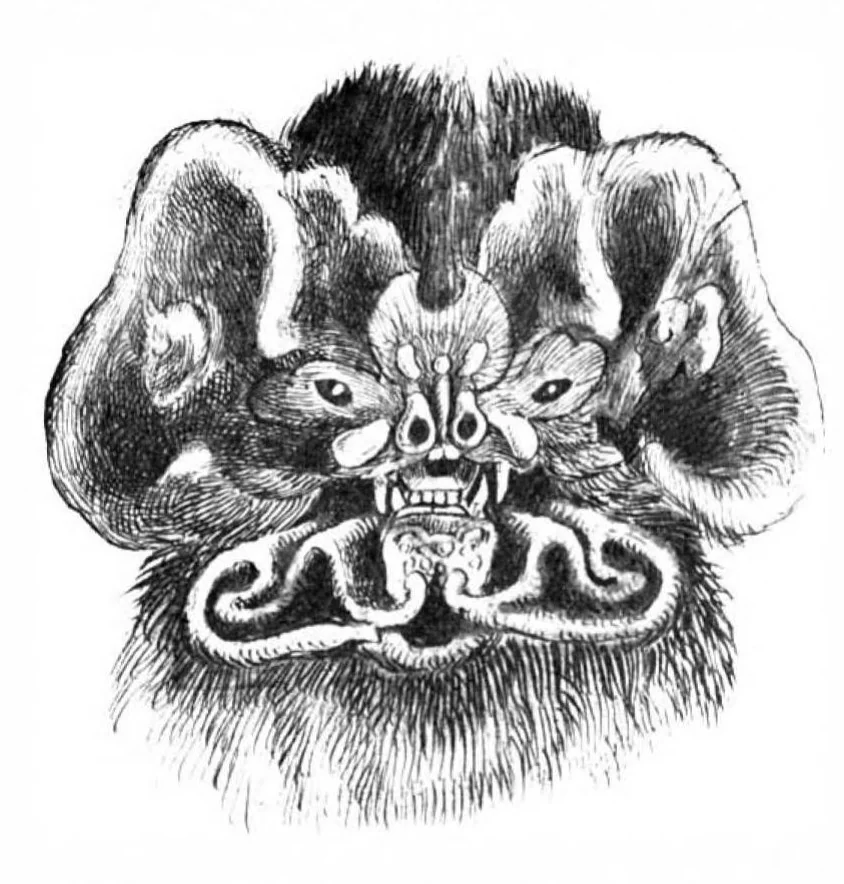 An illustration from Scientific American, Vol. 88, No. 2 (1903), 1903, leaf 9