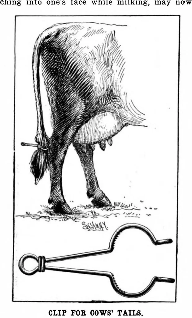 An illustration from Scientific American, Vol. 88, No. 9 (1903), 1903, leaf 10