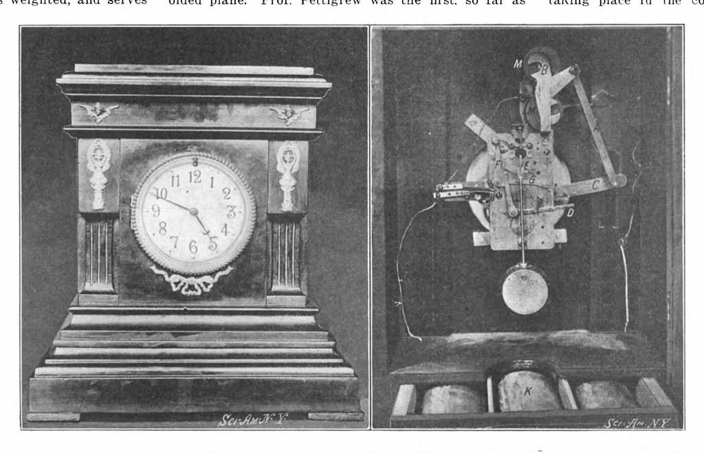 An illustration from Scientific American, Vol. 88, No. 10 (1903), 1903, leaf 4