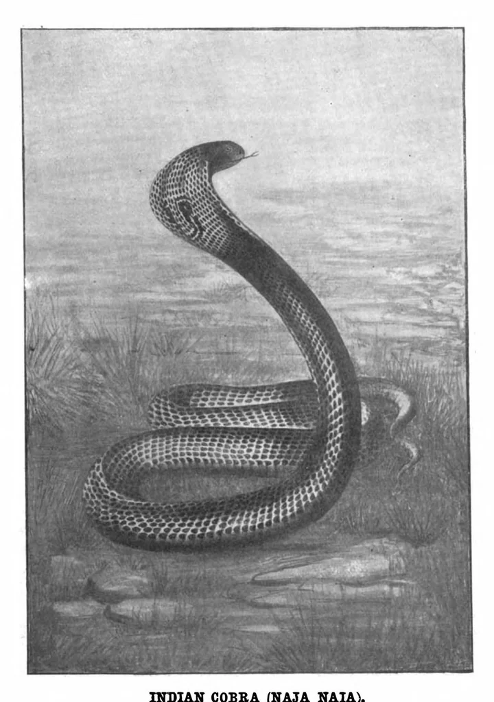 An illustration from Scientific American, Vol. 88, No. 10 (1903), 1903, leaf 9