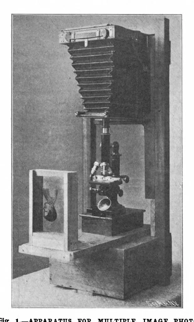 An illustration from Scientific American, Vol. 88, No. 14 (1903), 1903, leaf 8