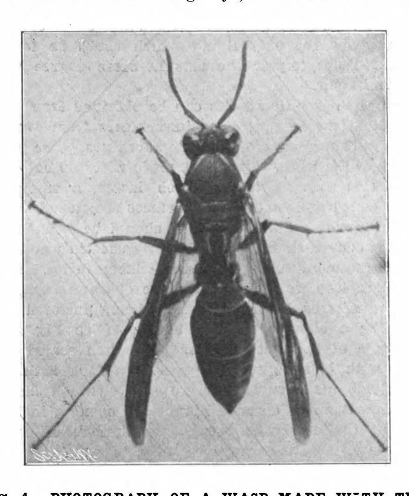 An illustration from Scientific American, Vol. 88, No. 14 (1903), 1903, leaf 8