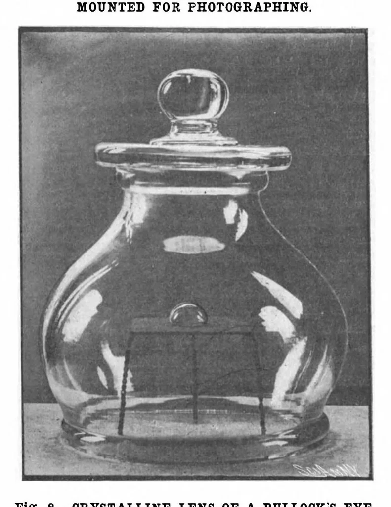 An illustration from Scientific American, Vol. 88, No. 14 (1903), 1903, leaf 9