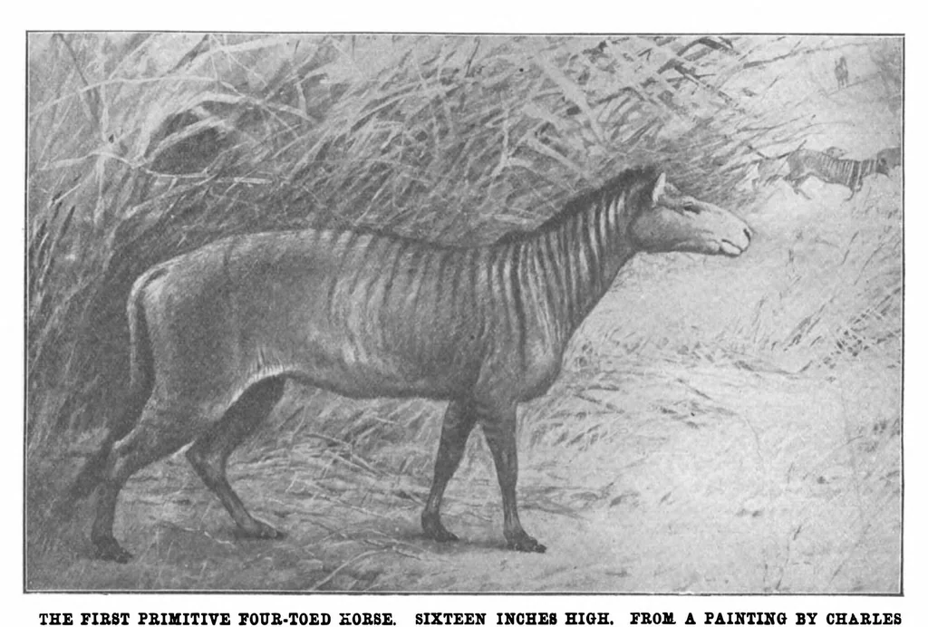 An illustration from Scientific American, Vol. 88, No. 24 (1903), 1903, leaf 8