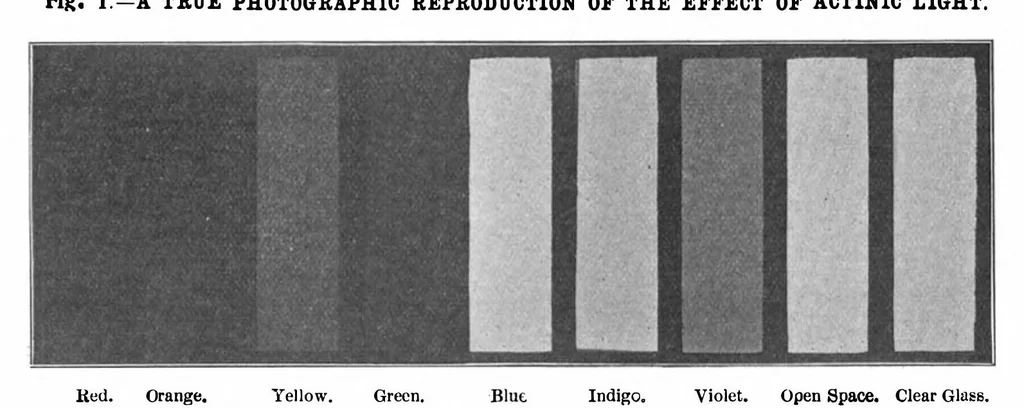 An illustration from Scientific American, Vol. 88, No. 25 (1903), 1903, leaf 10