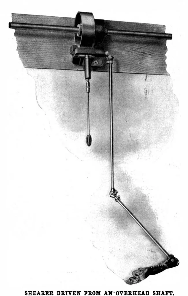 An illustration from Scientific American, Vol. 89, No. 2 (1903), 1903, leaf 4