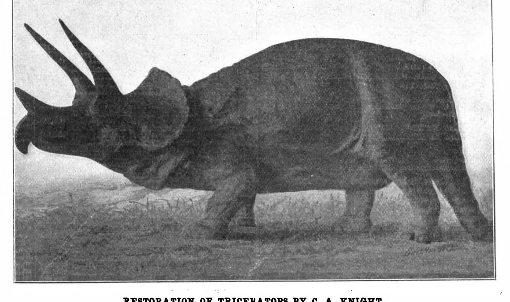An illustration from Scientific American, Vol. 89, No. 5 (1903), 1903, leaf 10