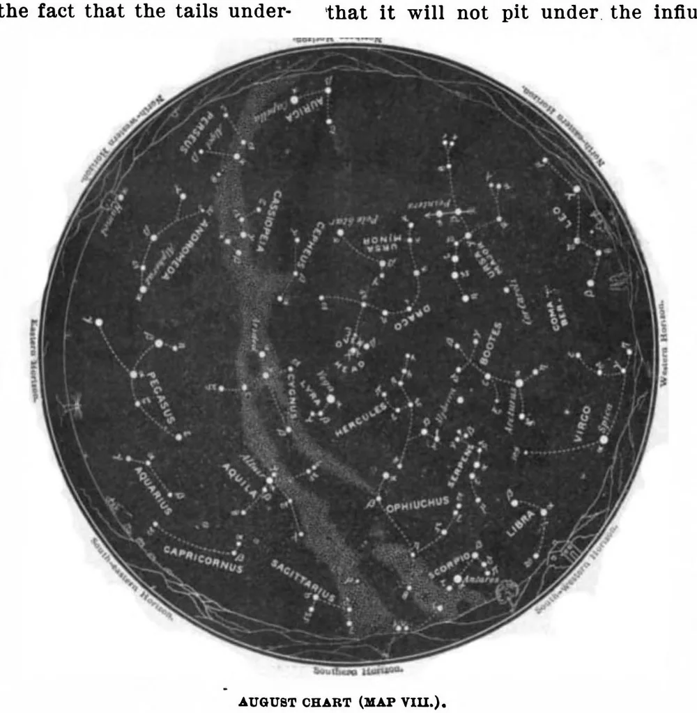 An illustration from Scientific American, Vol. 89, No. 8 (1903), 1903, leaf 6