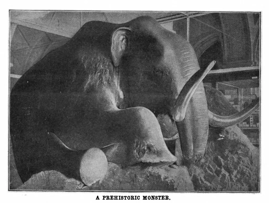 An illustration from Scientific American, Vol. 89, No. 22 (1903), 1903, leaf 9