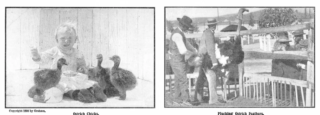 An illustration from Scientific American, Vol. 90, No. 14 (1904), 1904, leaf 10