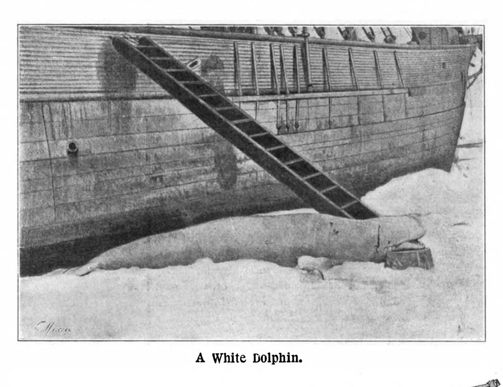 An illustration from Scientific American, Vol. 90, No. 14 (1904), 1904, leaf 7