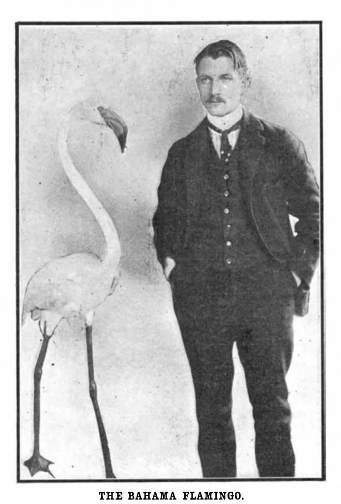 An illustration from Scientific American, Vol. 91, No. 4 (1904), 1904, leaf 9