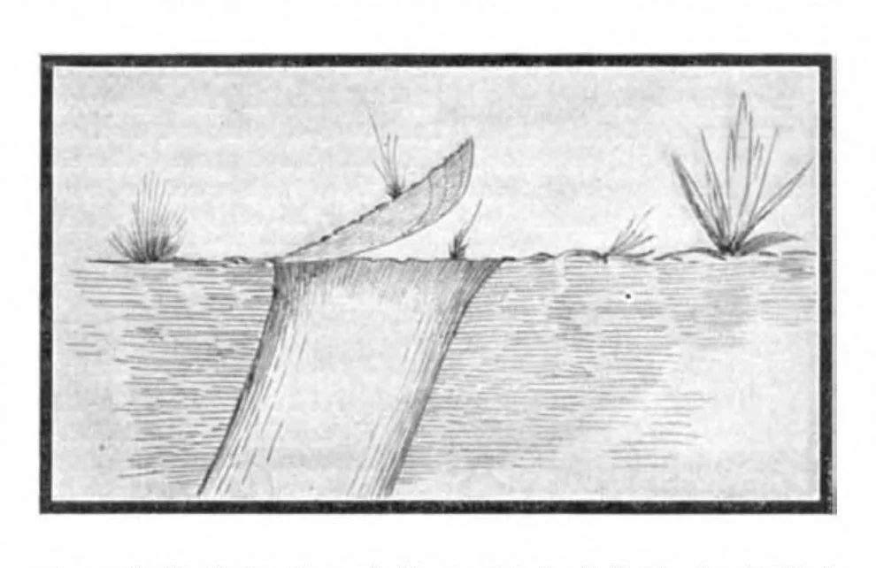 An illustration from Scientific American, Vol. 91, No. 5 (1904), 1904, leaf 10