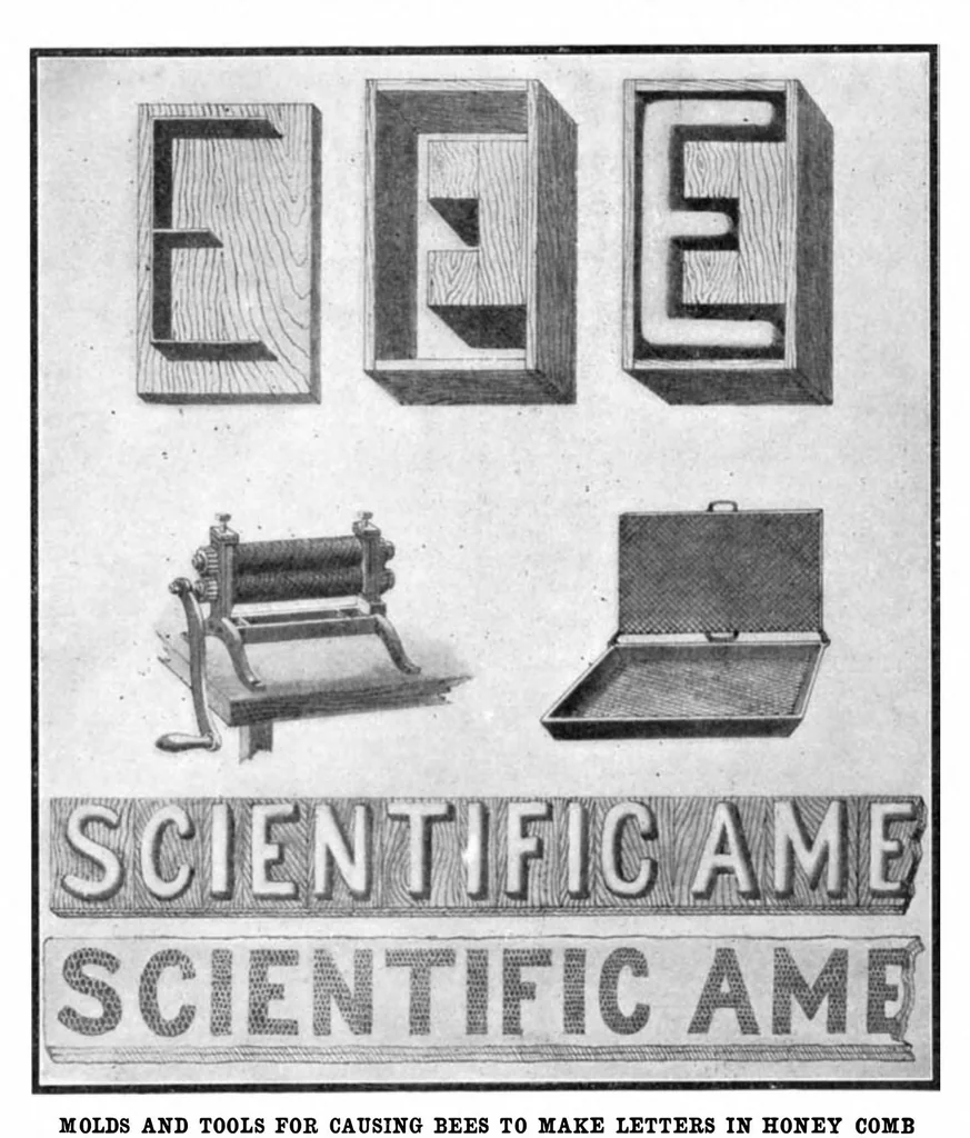 An illustration from Scientific American, Vol. 91, No. 6 (1904), 1904, leaf 9