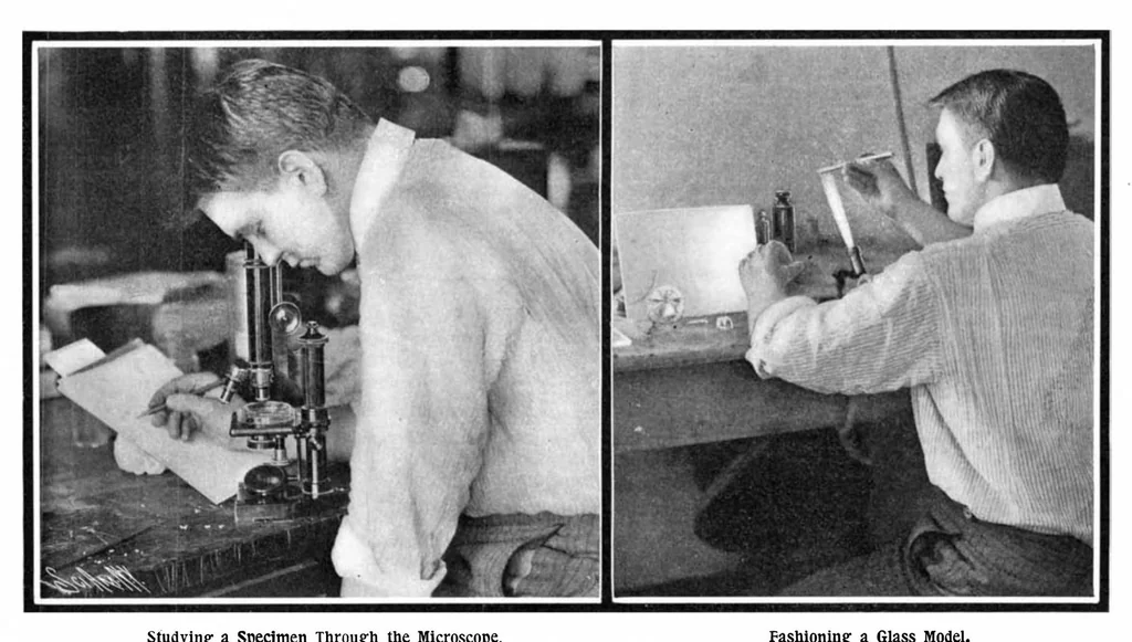 An illustration from Scientific American, Vol. 91, No. 9 (1904), 1904, leaf 3
