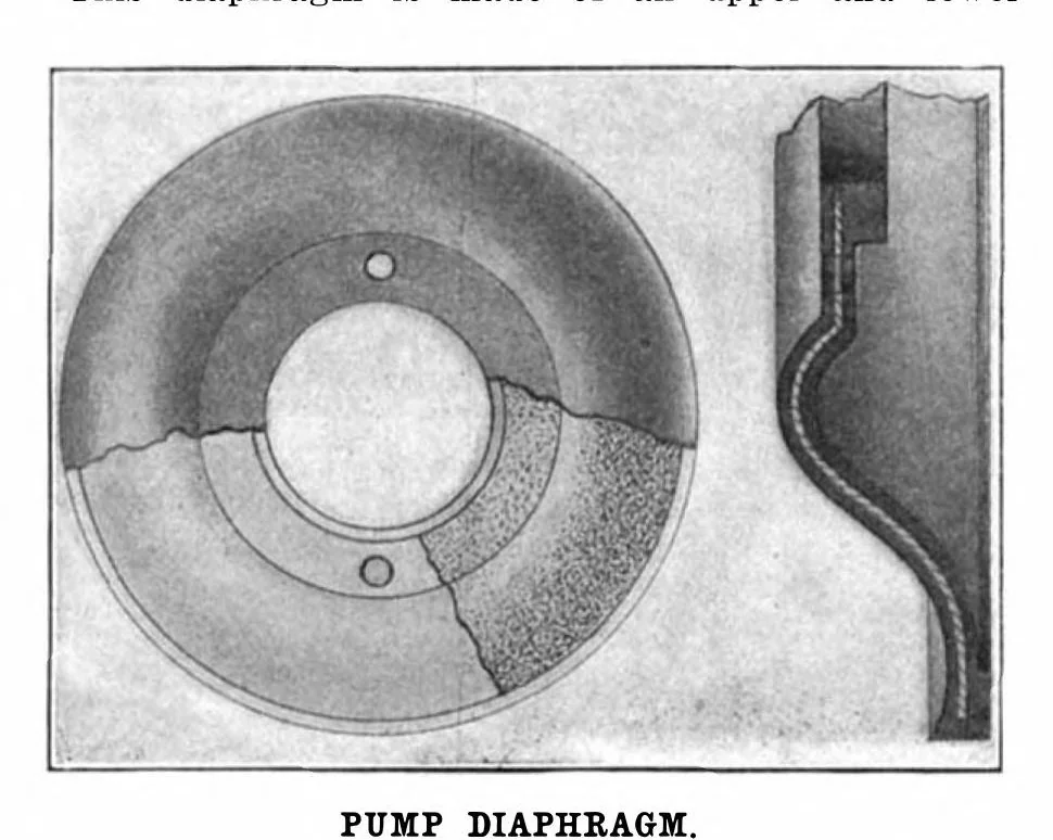 An illustration from Scientific American, Vol. 91, No. 12 (1904), 1904, leaf 11