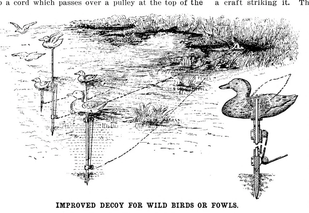 An illustration from Scientific American, Vol. 91, No. 12 (1904), 1904, leaf 12