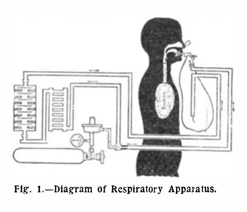 An illustration from Scientific American, Vol. 91, No. 14 (1904), 1904, leaf 5