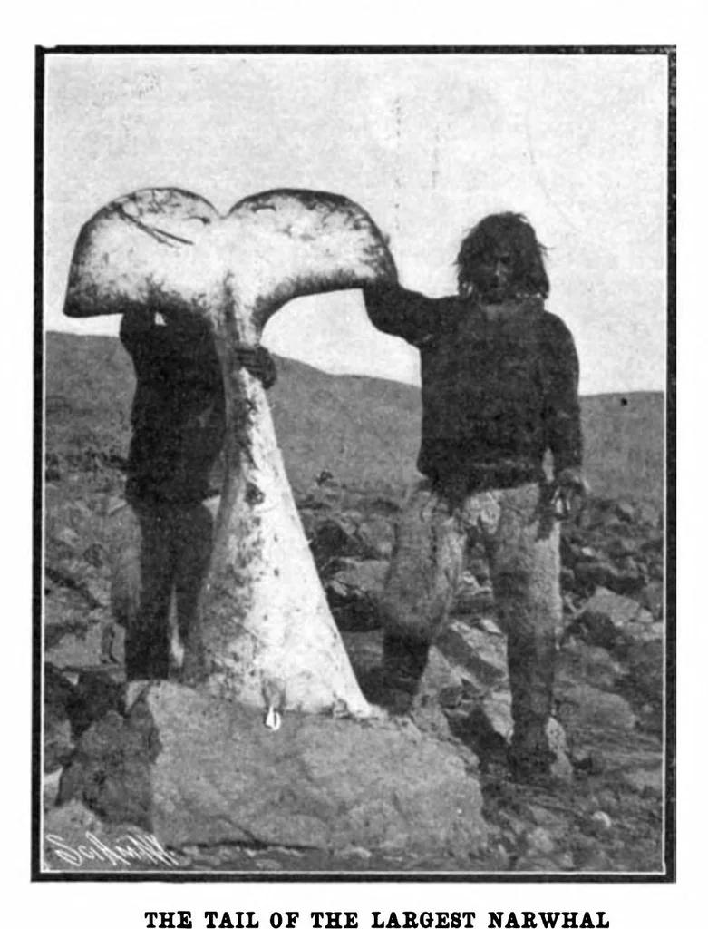An illustration from Scientific American, Vol. 91, No. 15 (1904), 1904, leaf 10