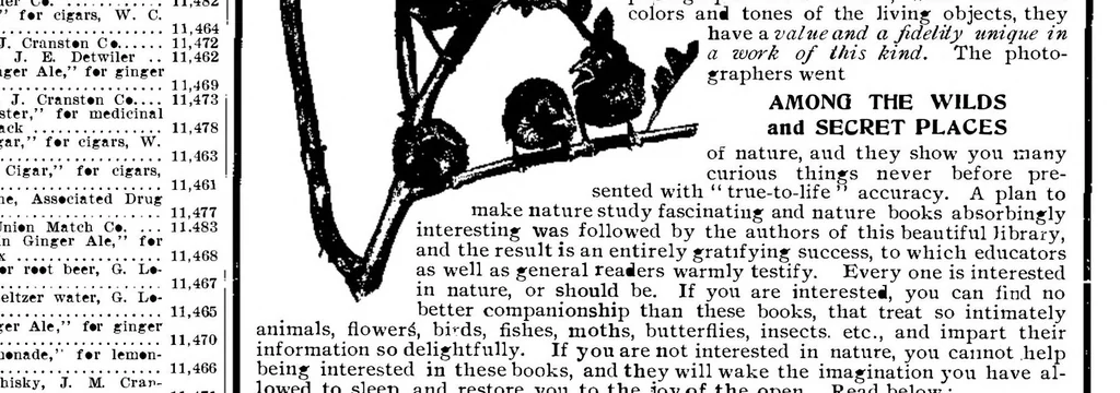 An illustration from Scientific American, Vol. 91, No. 17 (1904), 1904, leaf 14