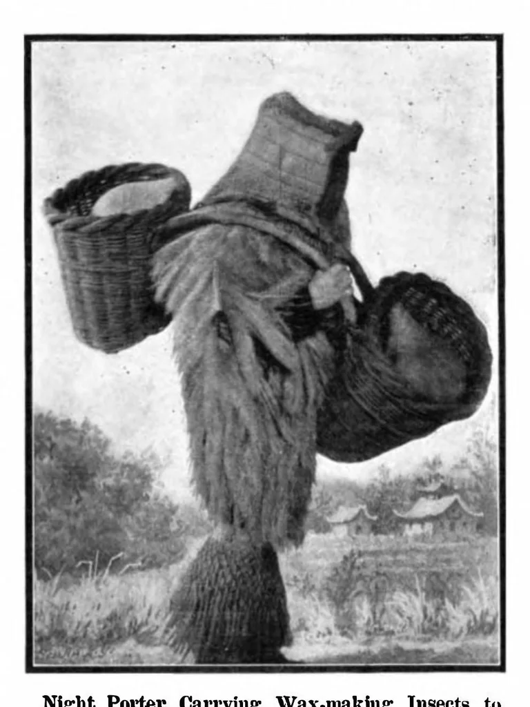 An illustration from Scientific American, Vol. 91, No. 23 (1904), 1904, leaf 10