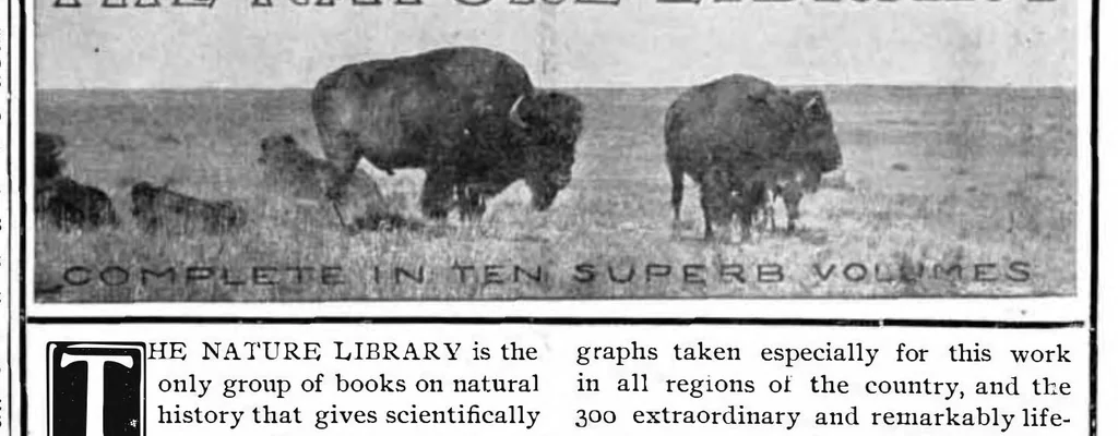 An illustration from Scientific American, Vol. 91, No. 23 (1904), 1904, leaf 14