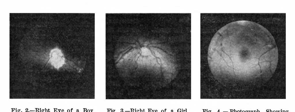 An illustration from Scientific American, Vol. 91, No. 25 (1904), 1904, leaf 12