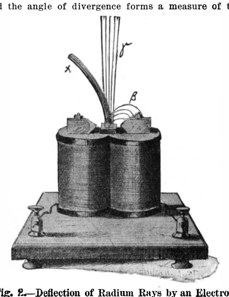 An illustration from Scientific American, Vol. 91, No. 25 (1904), 1904, leaf 5