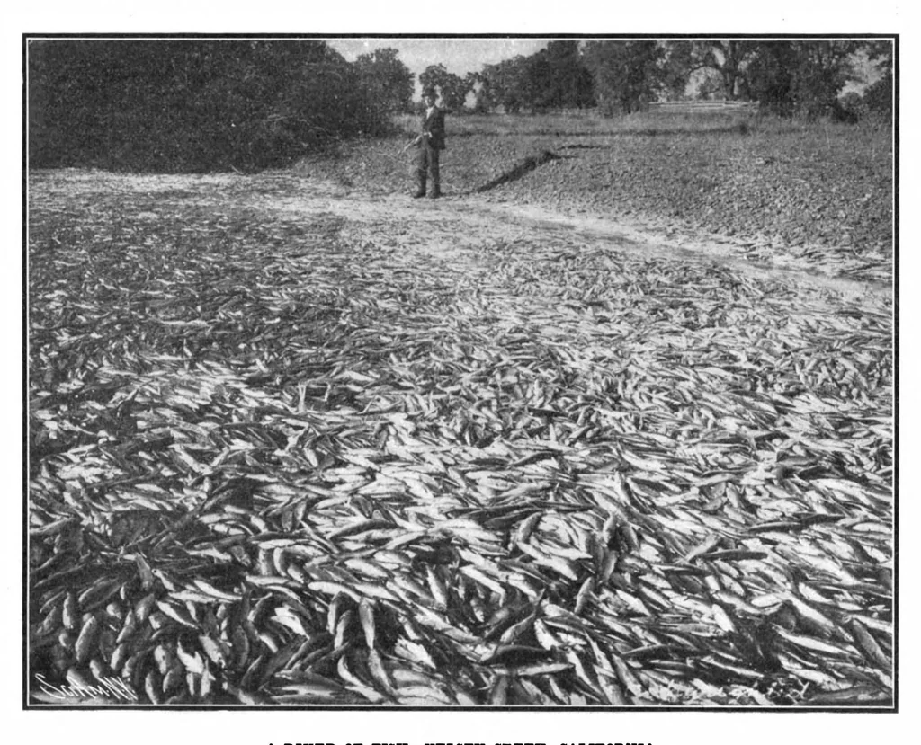 An illustration from Scientific American, Vol. 91, No. 26 (1904), 1904, leaf 10