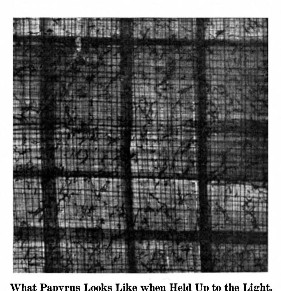 An illustration from Scientific American, Vol. 91, No. 27 (1904), 1904, leaf 11